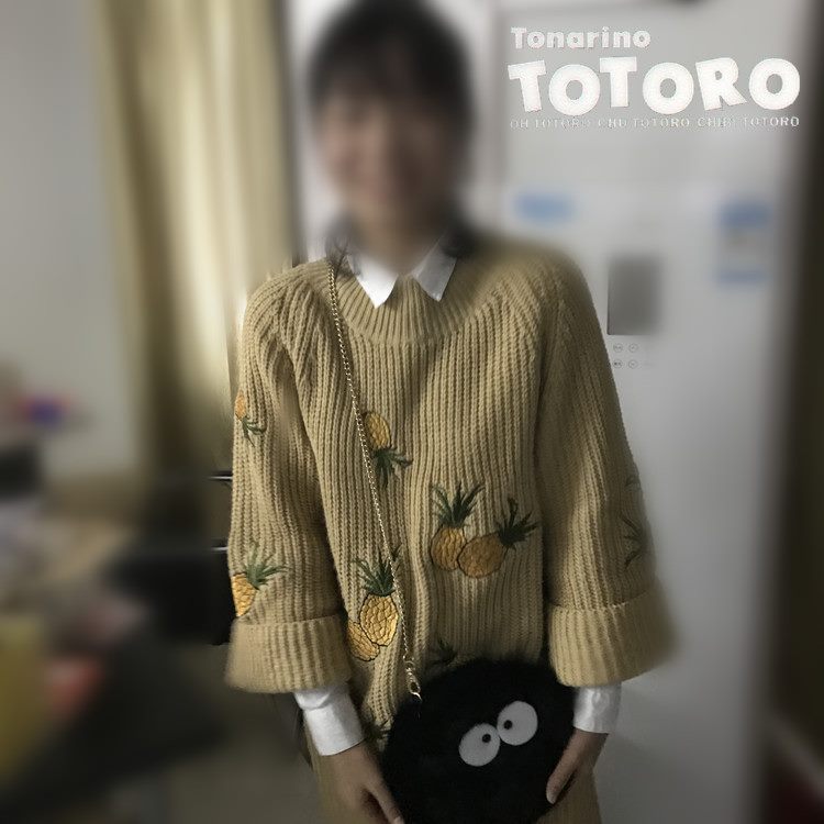 Studio Ghibli - My Neighbor Totoro Hayao Miyazaki Black Carbon Dust Elf bag